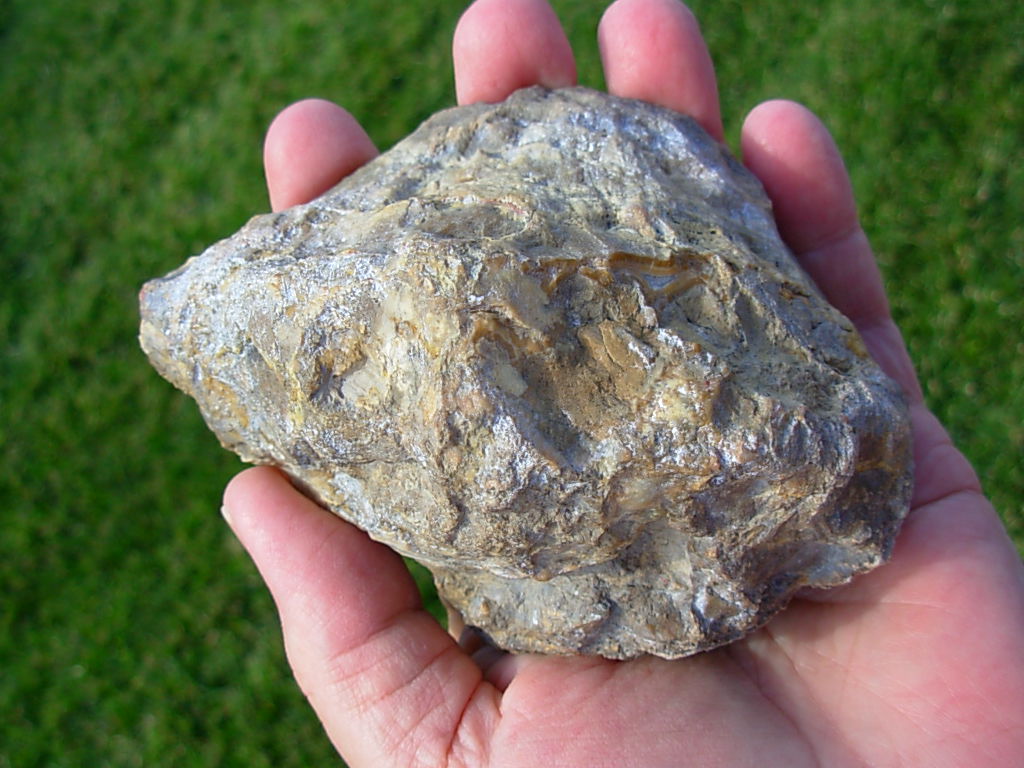 Kentucky Geodes Spirit Rock Shop