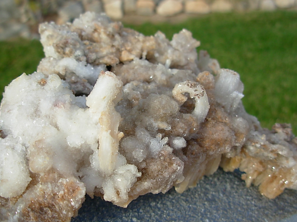 Old Stock Ram Horn Selenite from Chihuahua, Mexico