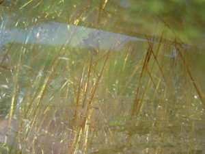 Polished Natural Rutilated Smoky Quartz Freeform from Brazil