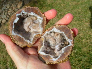 Reverse Scepter Quartz Needle Geode Pair