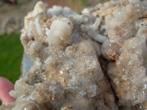 Old Stock Ram Horn Selenite from Chihuahua, Mexico