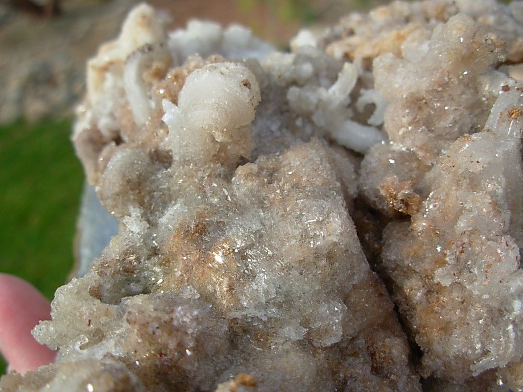 Old Stock Ram Horn Selenite from Chihuahua, Mexico