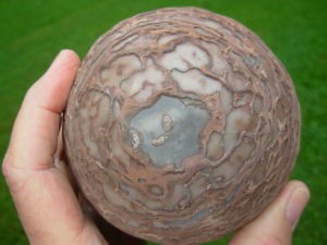 Dragon Eggs