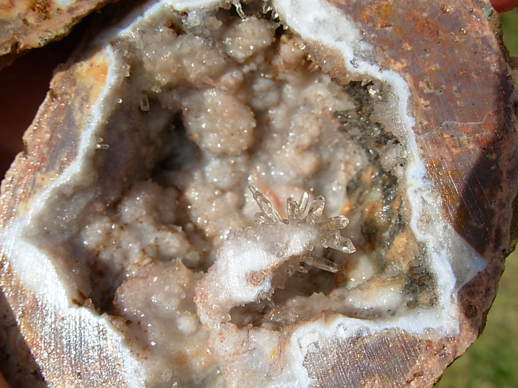 Reverse Scepter Quartz Needle Geode Pair