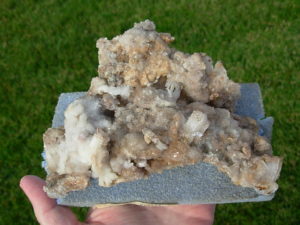 Old Stock Ram Horn Selenite from Chihuahua, Mexico