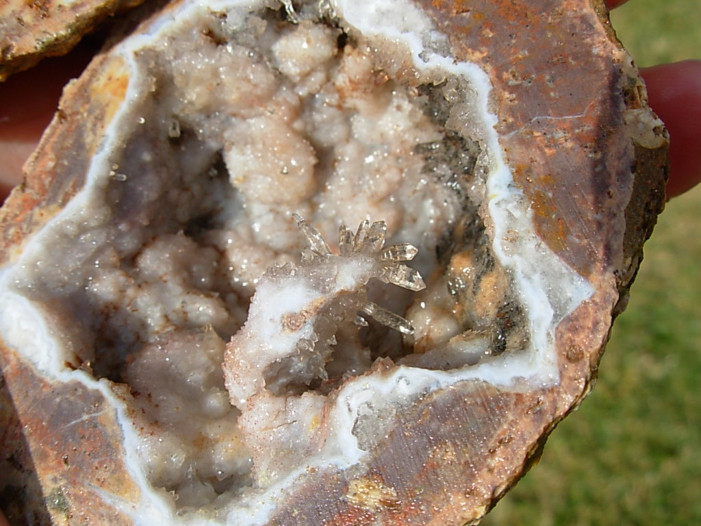 Reverse Scepter Quartz Needle Geode Pair