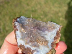 Reverse Scepter Amethyst Quartz Needle Plate