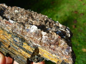 Muscovite on Black Tourmaline from Brazil