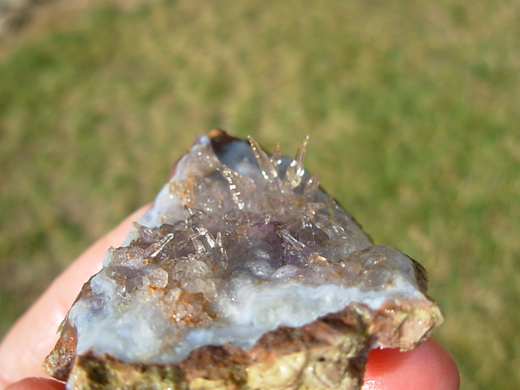 Reverse Scepter Amethyst Quartz Needle Plate