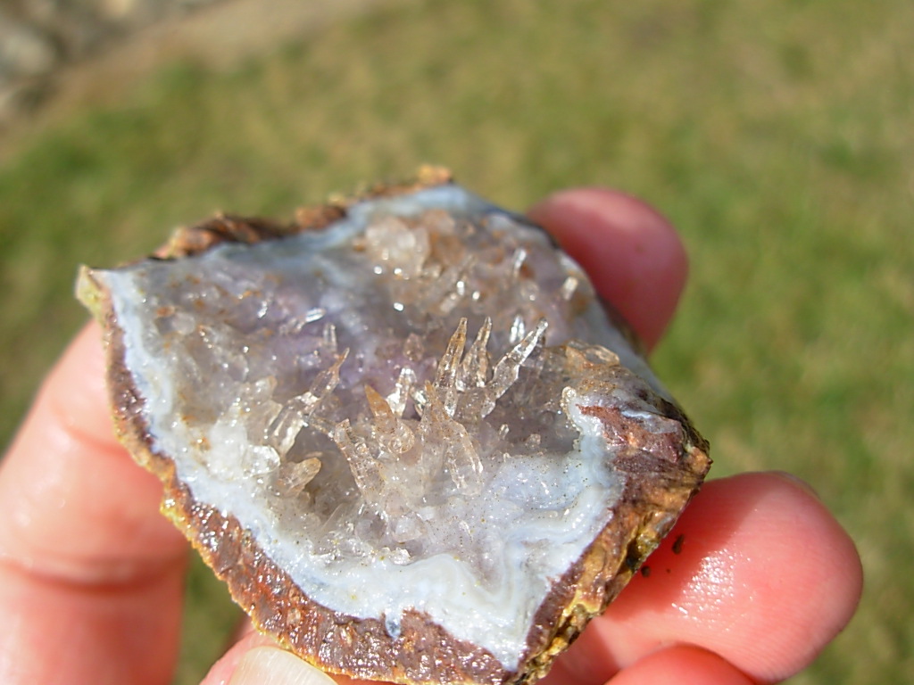 Reverse Scepter Amethyst Quartz Needle Plate