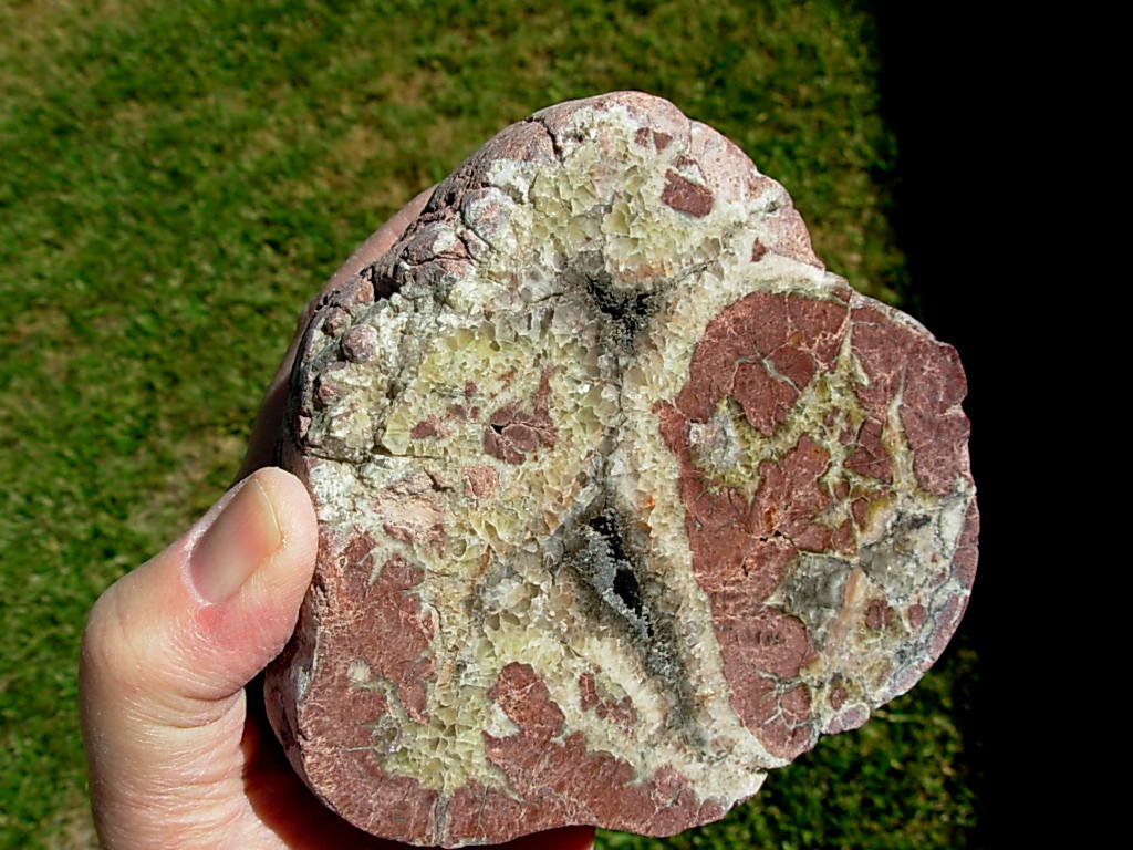 Strange Black Rock Desert Thunderegg Polished Half