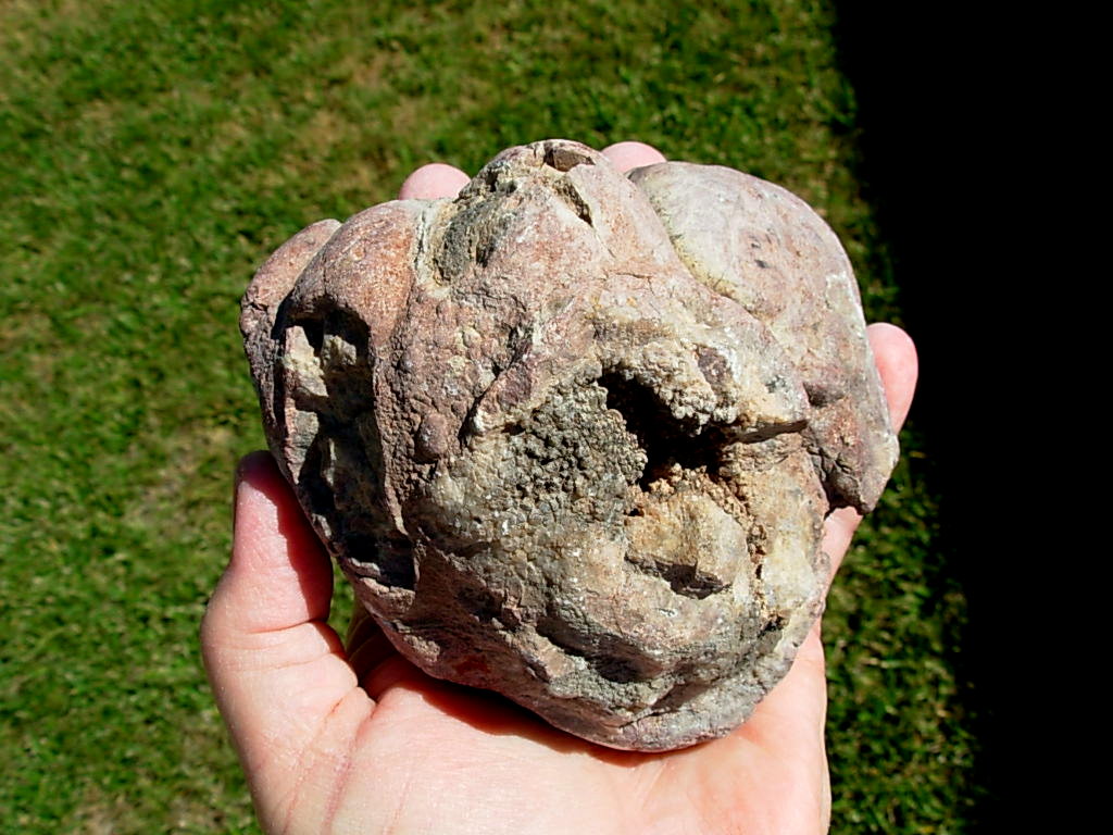 Strange Black Rock Desert Thunderegg Polished Half