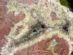 Strange Black Rock Desert Thunderegg Polished Half