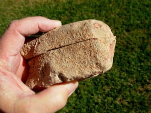 Pair with 2 sides cut Nevada Wonderstone from Wonderstone Mountain in Fallon, Nevada