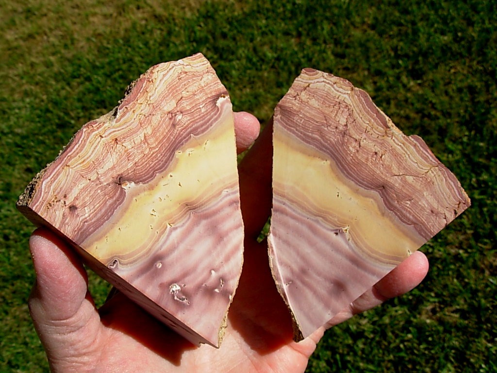 Pair with 2 sides cut Nevada Wonderstone from Wonderstone Mountain in Fallon, Nevada