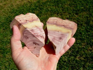 Pair with 2 sides cut Nevada Wonderstone from Wonderstone Mountain in Fallon, Nevada