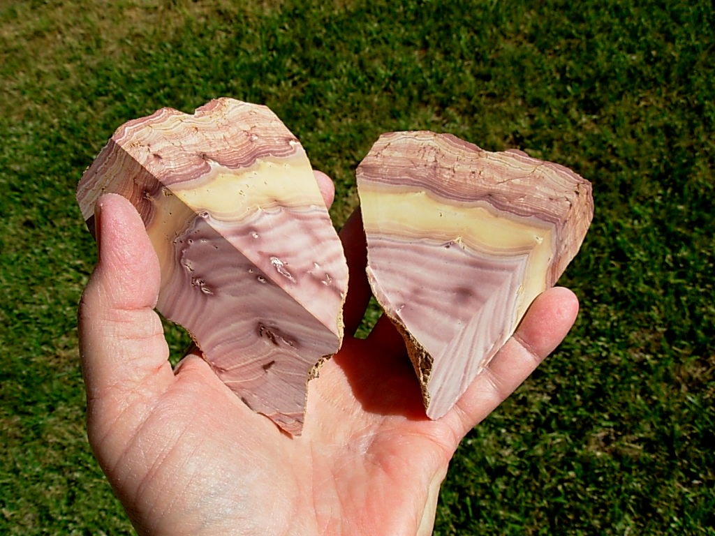 Pair with 2 sides cut Nevada Wonderstone from Wonderstone Mountain in Fallon, Nevada