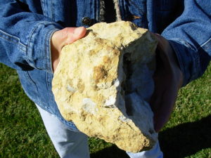 6lb Lewis County Missouri Pokerchip Calcite XL Geode