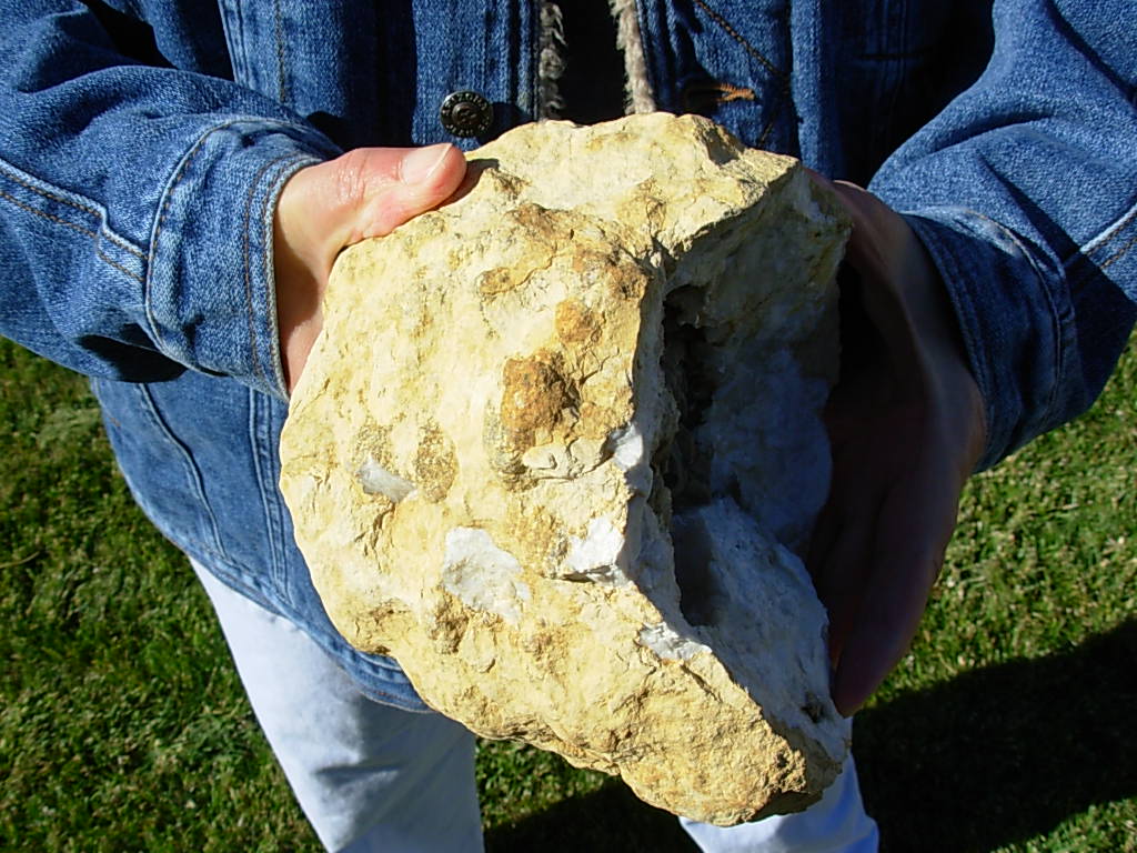 6lb Lewis County Missouri Pokerchip Calcite XL Geode