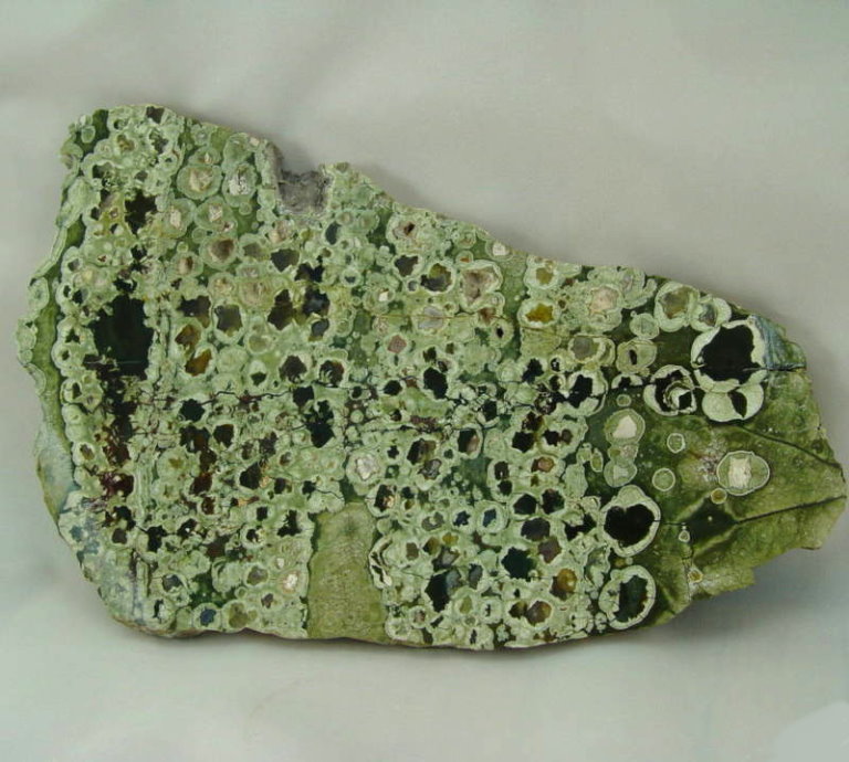 X- Large Polished Face Rain Forest Jasper Slab from Australia