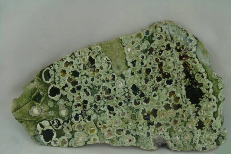 X- Large Polished Face Rain Forest Jasper Slab from Australia