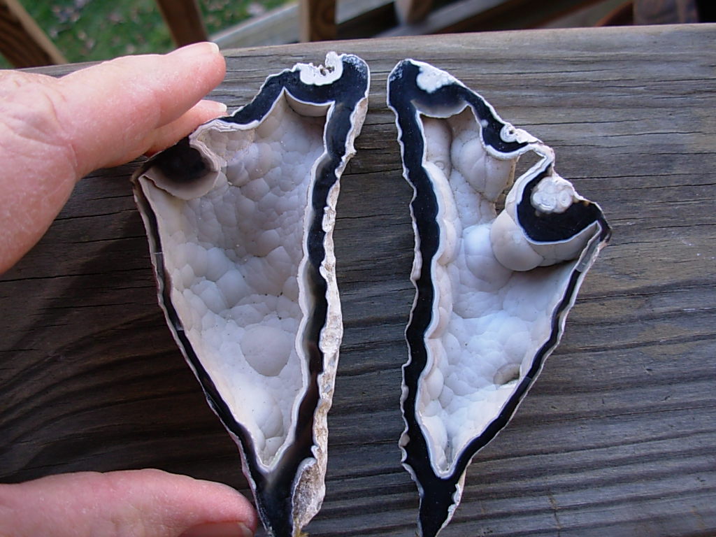 Tampa Bay Ballast Point Fossilized Coral Agate Pair from Roders Coral Museum