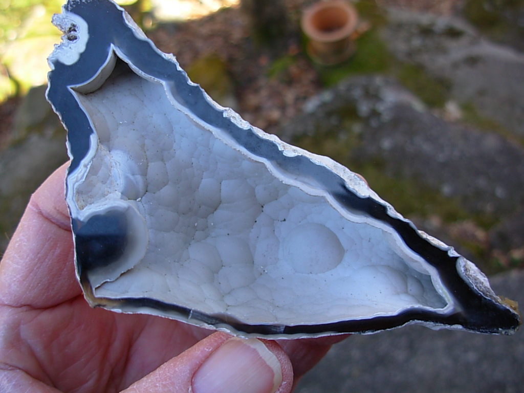 Tampa Bay Ballast Point Fossilized Coral Agate Pair from Roders Coral Museum