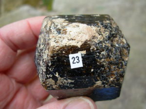 Rare Classic Large Dravite Tourmaline Crystal from Australia