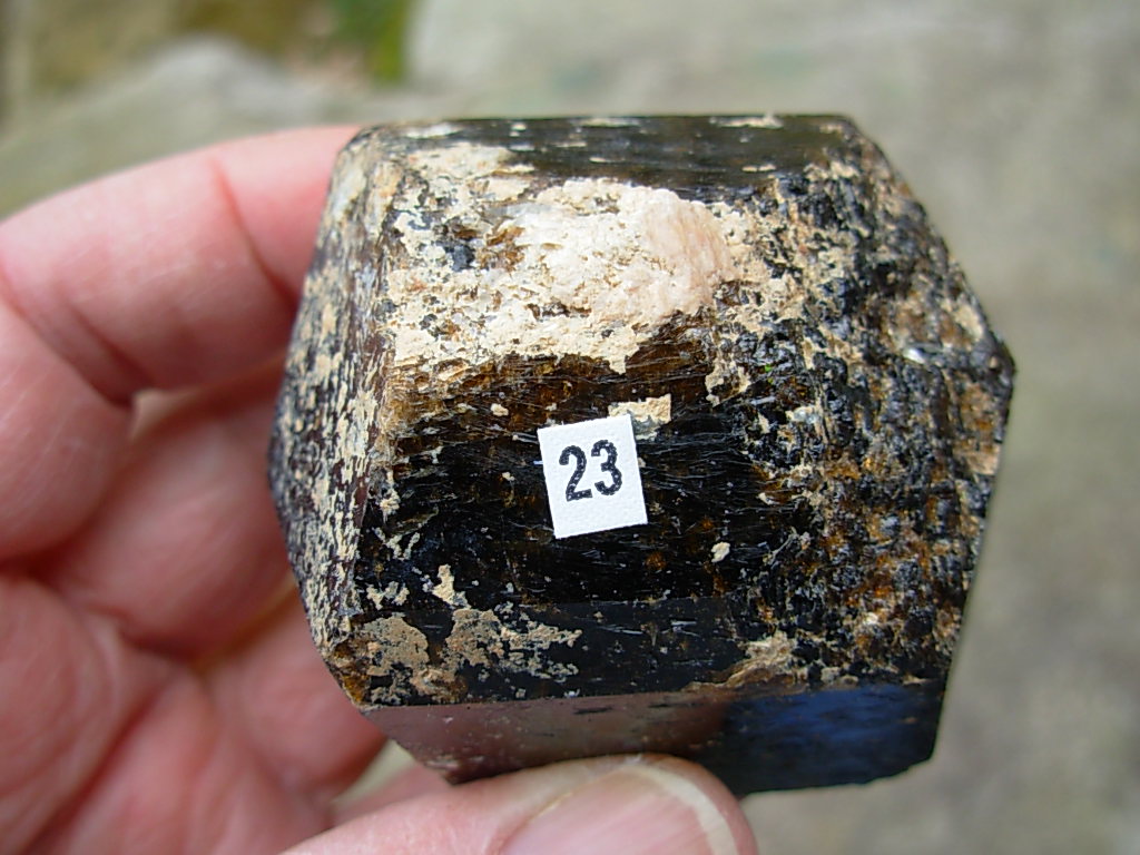 Rare Classic Large Dravite Tourmaline Crystal from Australia