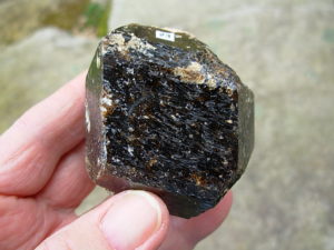 Rare Classic Large Dravite Tourmaline Crystal from Australia