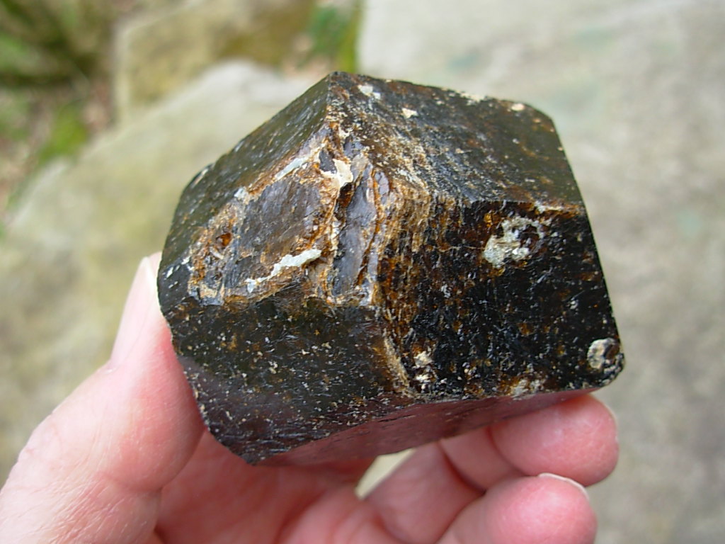 Rare Classic Large Dravite Tourmaline Crystal from Australia