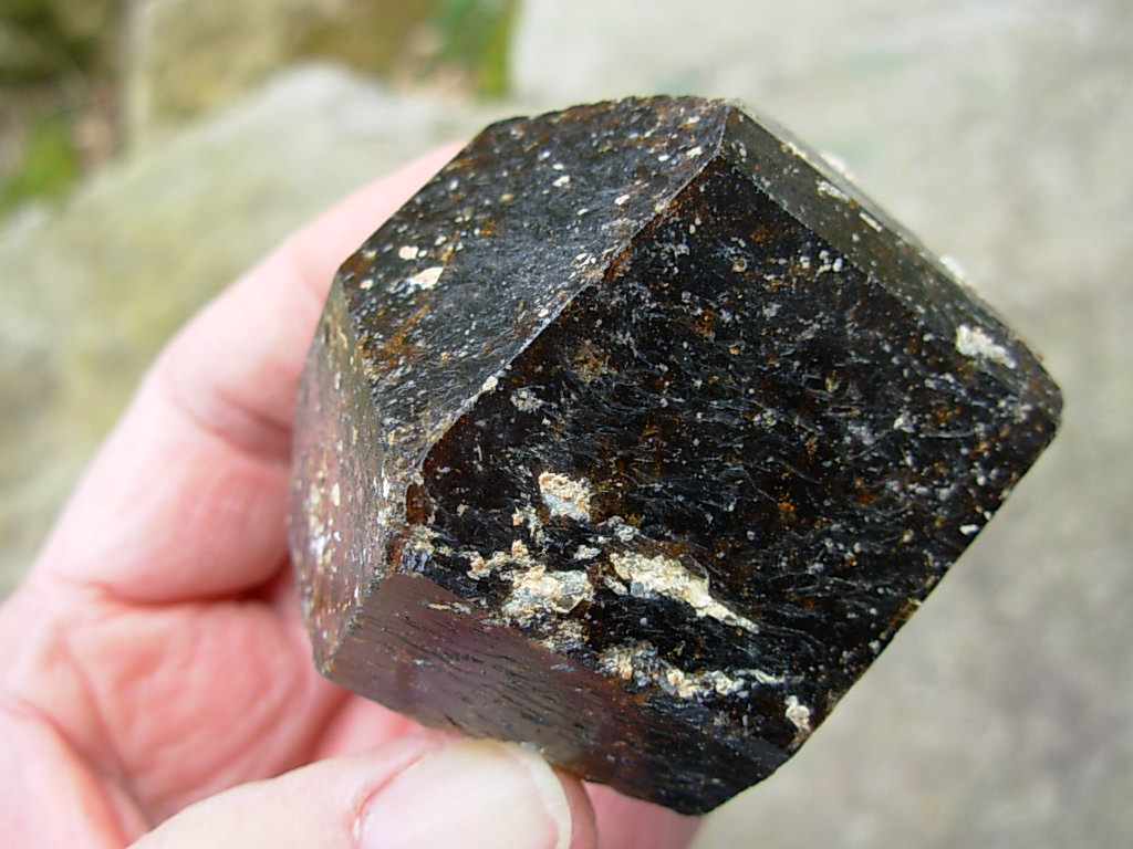 Rare Classic Large Dravite Tourmaline Crystal from Australia