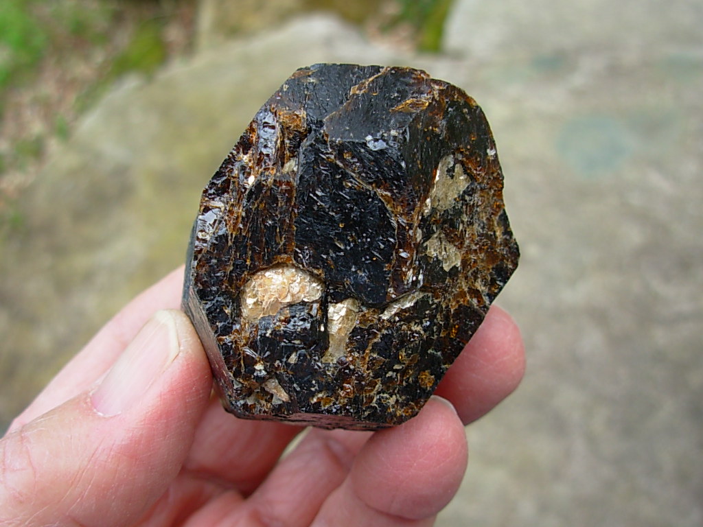 Rare Classic Large Dravite Tourmaline Crystal from Australia