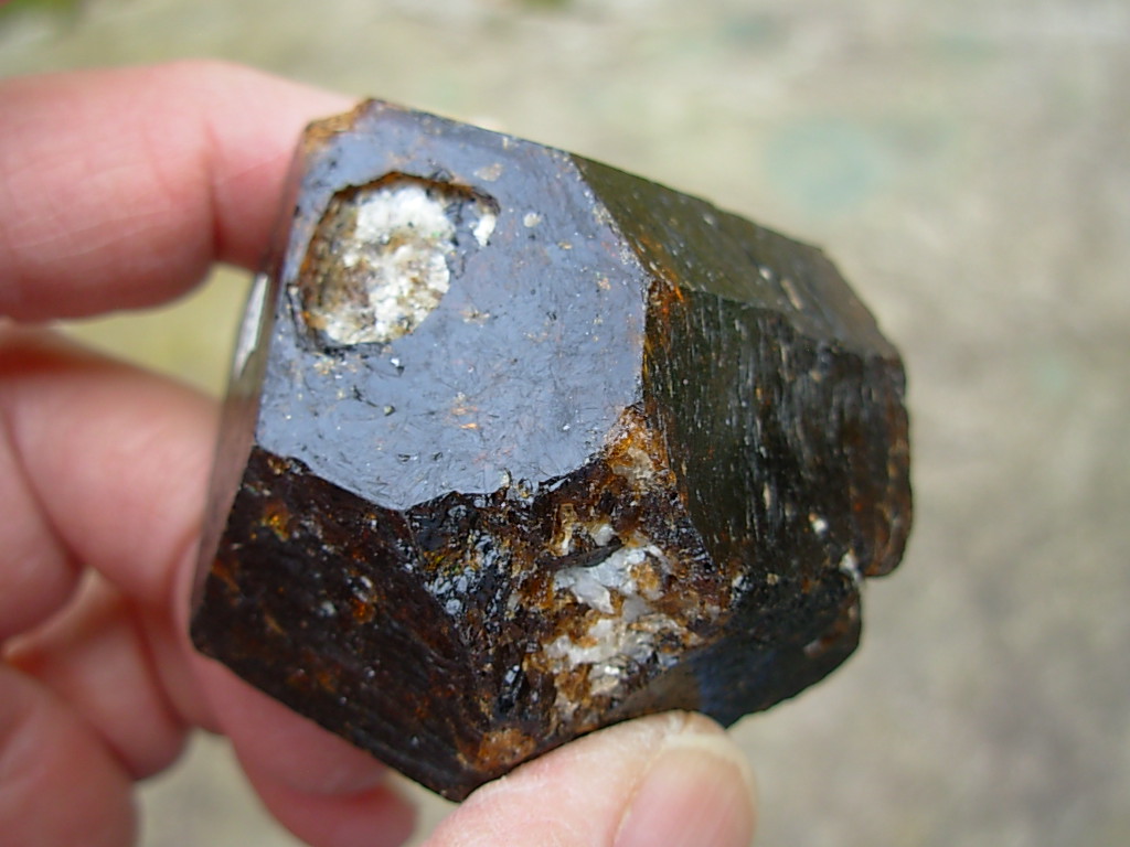 Rare Classic Large Dravite Tourmaline Crystal from Australia