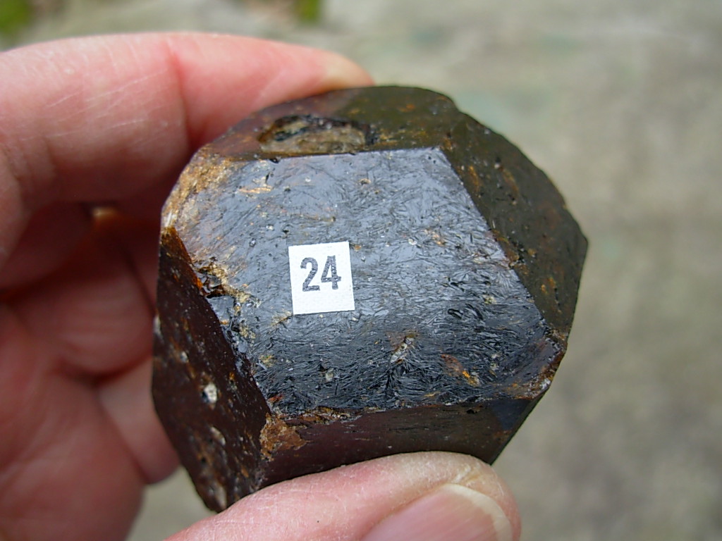 Rare Classic Large Dravite Tourmaline Crystal from Australia