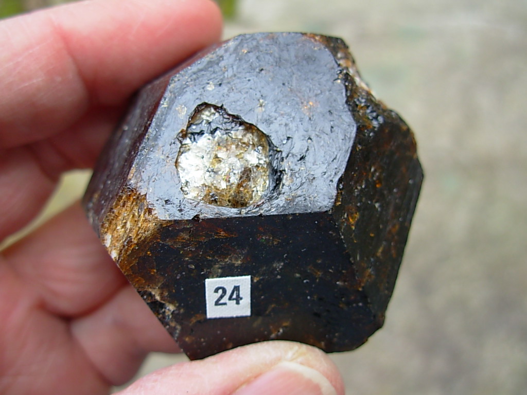 Rare Classic Large Dravite Tourmaline Crystal from Australia