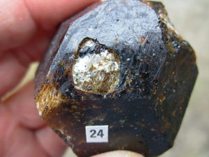 Rare Classic Large Dravite Tourmaline Crystal from Australia