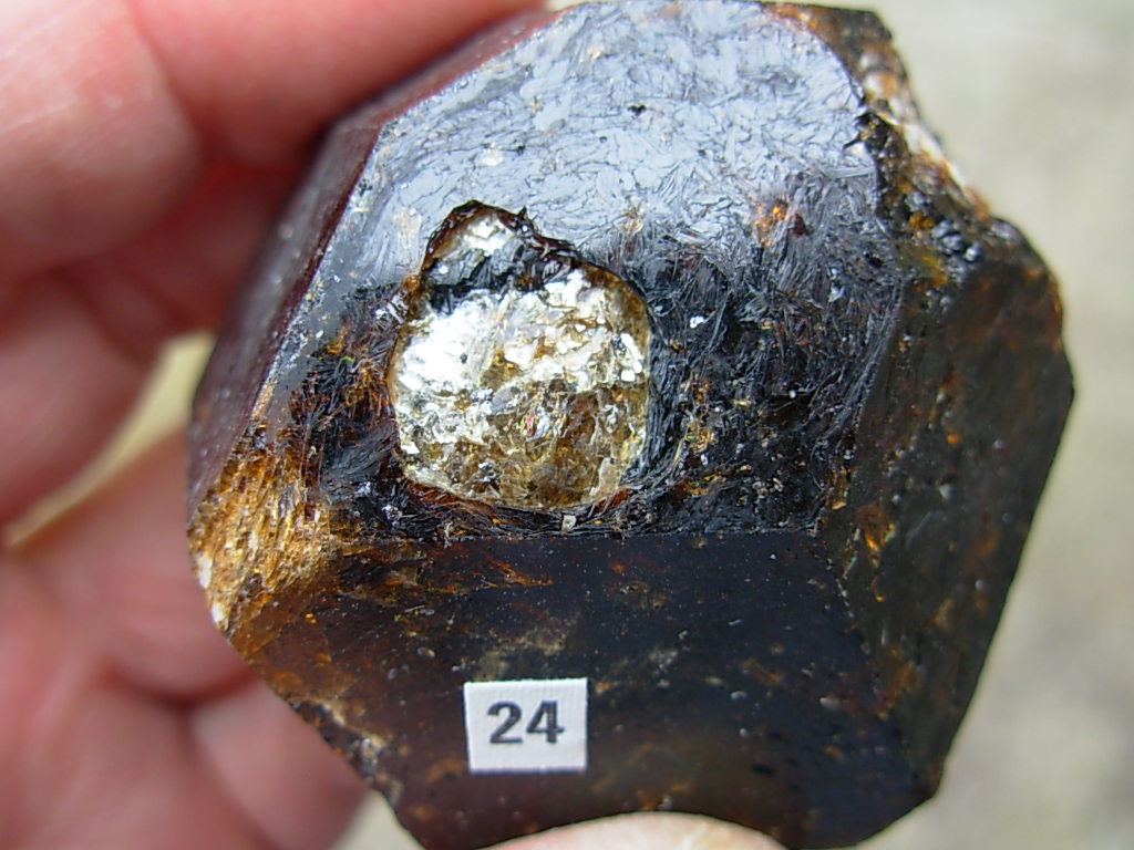 Rare Classic Large Dravite Tourmaline Crystal from Australia