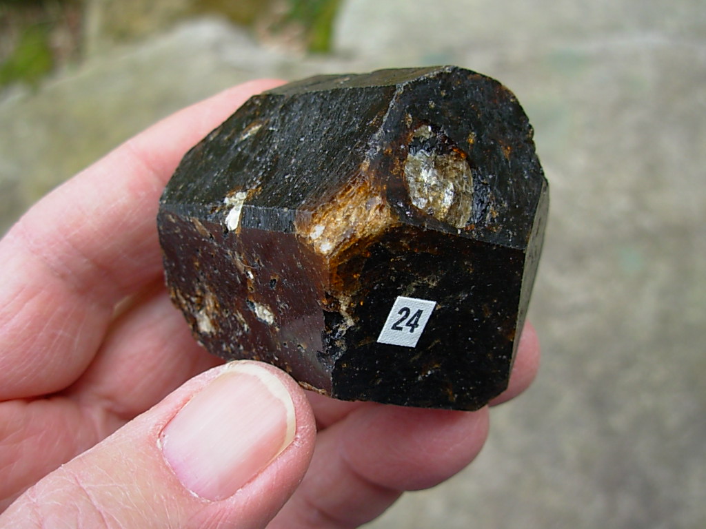 Rare Classic Large Dravite Tourmaline Crystal from Australia