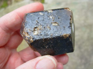 Rare Classic Large Dravite Tourmaline Crystal from Australia