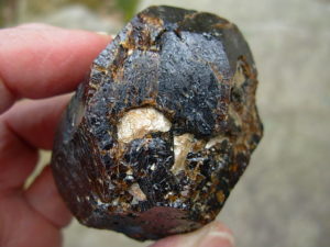 Rare Classic Large Dravite Tourmaline Crystal from Australia