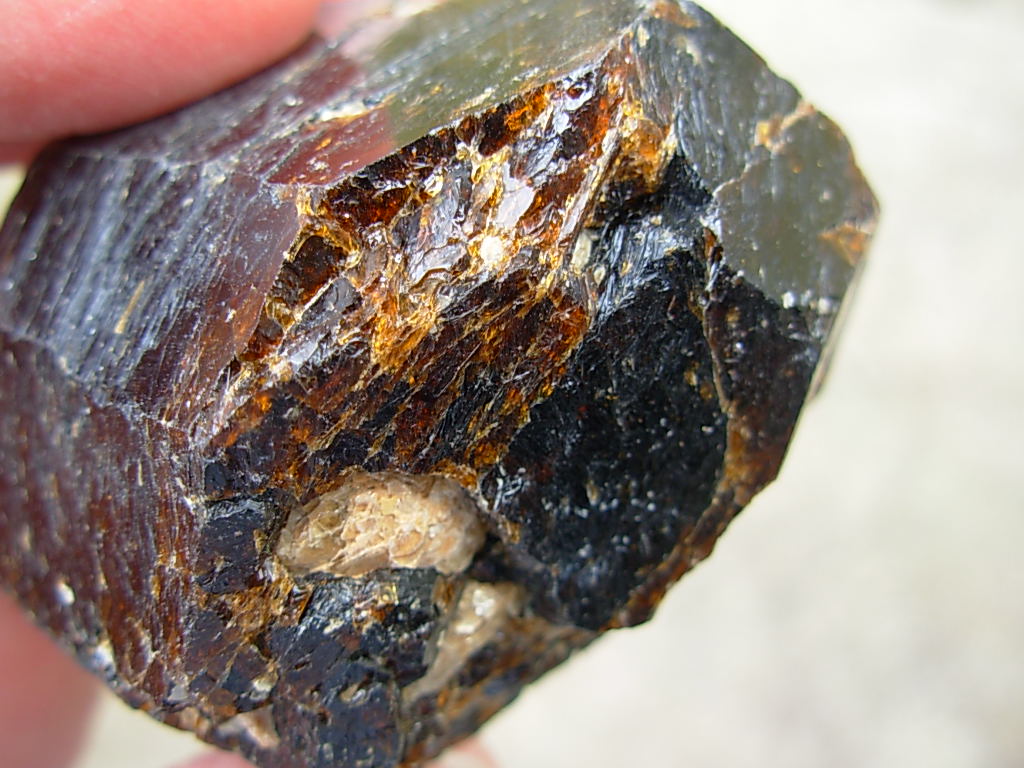 Rare Classic Large Dravite Tourmaline Crystal from Australia