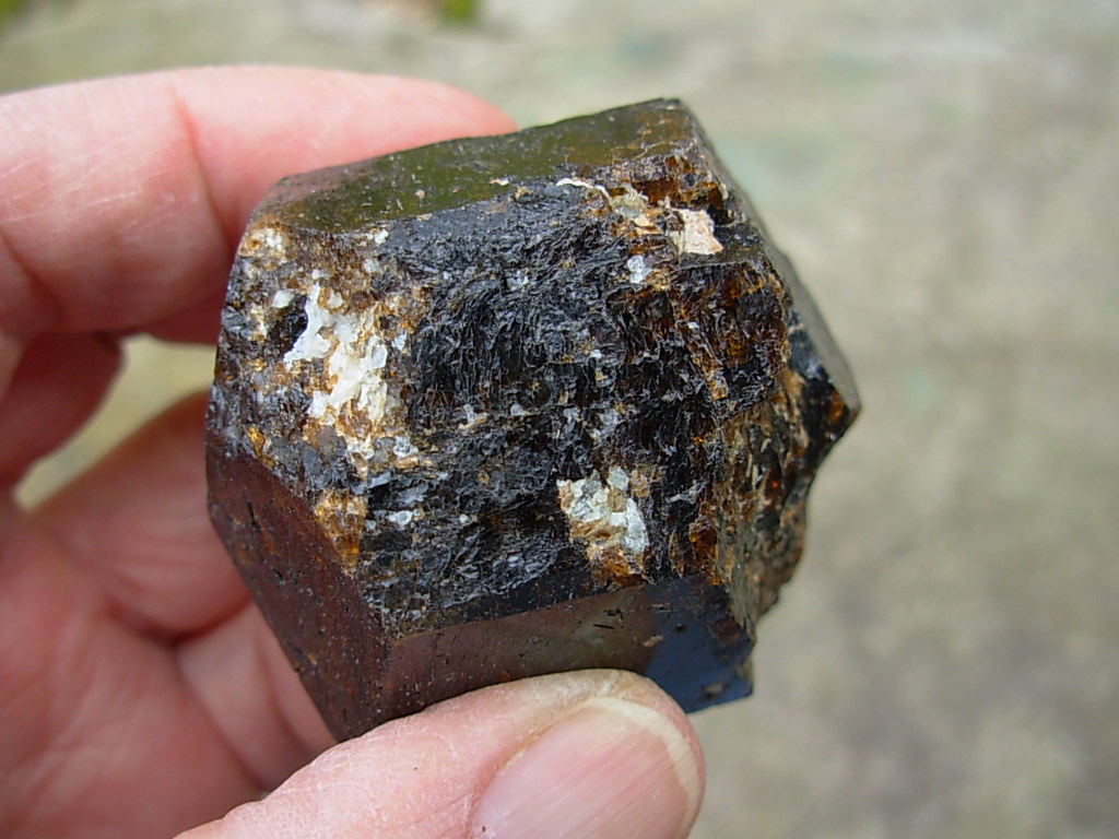Rare Classic Large Dravite Tourmaline Crystal from Australia