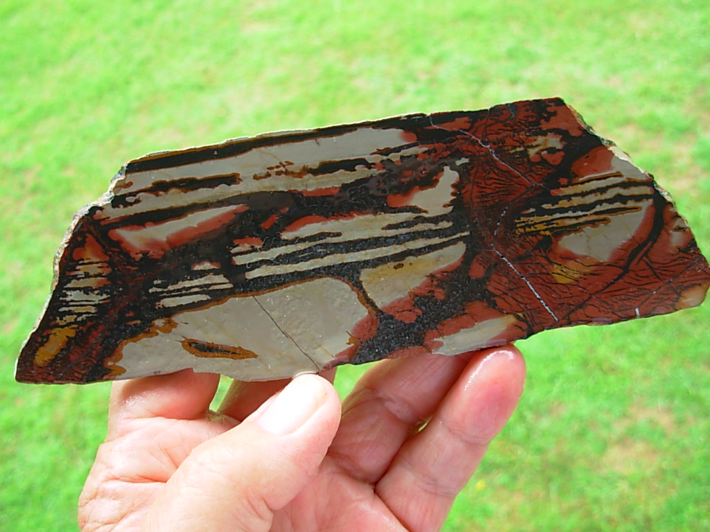 Lapidary Slabs and Rough Stock