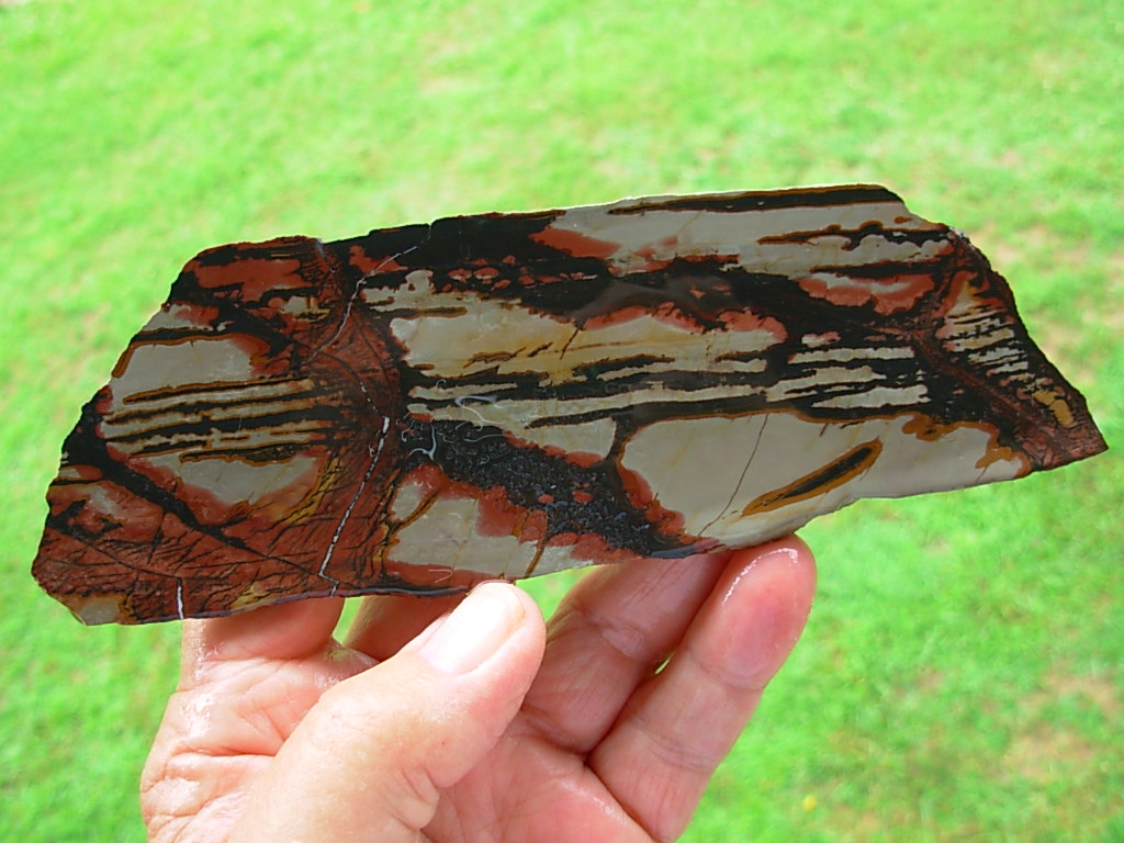 Lapidary Slabs and Rough Stock