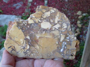 Large Brecciated Mookaite Unpolished Slab from Australia