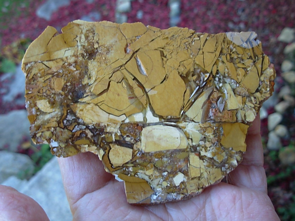 Large Brecciated Mookaite Unpolished Slab from Australia