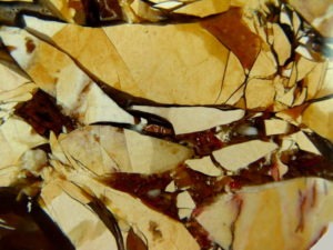 Large Brecciated Mookaite Polished Slab from Australia