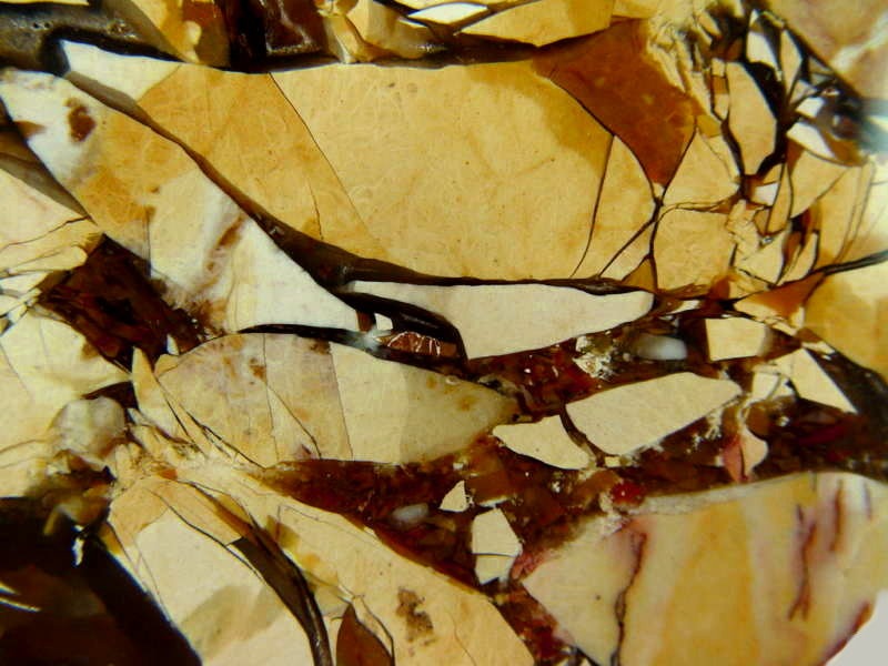 Large Brecciated Mookaite Polished Slab from Australia