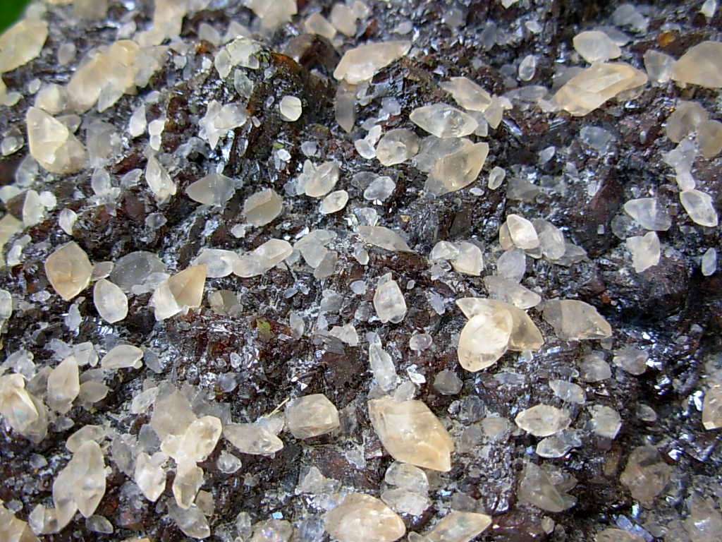 Old Stock 1960's Specimen Calcite on Sphalerite from the Elmwood Mine